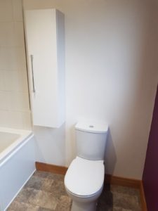 New bathroom installation toilet